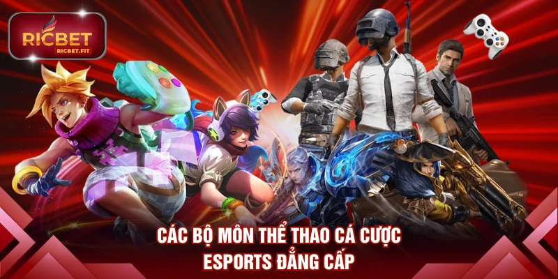 Các bộ môn thể thao cá cược Esports đẳng cấp