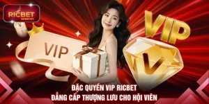 đặc quyền VIP RICBET
