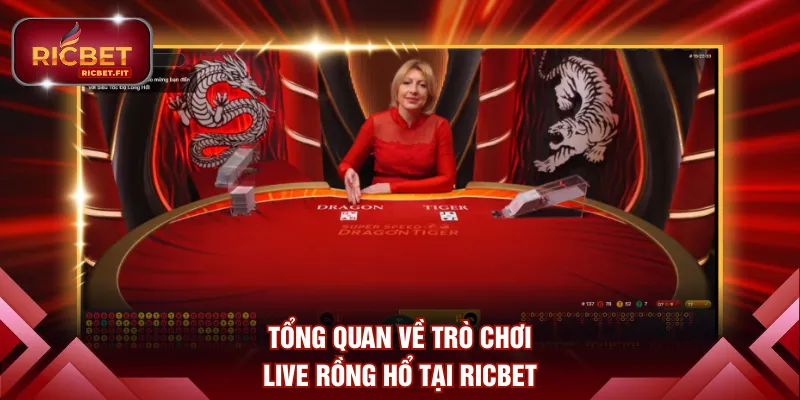 Tổng quan về trò chơi live Rồng Hổ tại RICBET